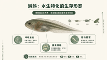 gemini-flash-lite__gpt-image-2 03