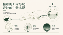 gemini-flash-lite__gpt-image-2 13