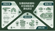 gemini-flash-lite__nano-banana-2 06
