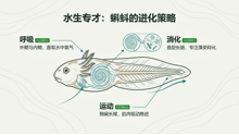 gemini-flash-lite__nano-banana-pro 03