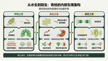 gemini-flash-lite__nano-banana-pro 06