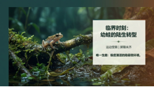 gemini-flash-lite__nano-banana-pro 08