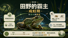 gpt-5.4-mini-high__gpt-image-2 09