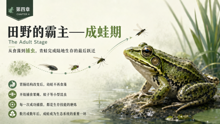 gpt-5.4__gpt-image-2 09