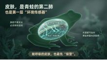 gpt-5.4__nano-banana-pro 11