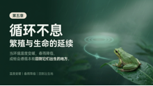 gpt-5.4__nano-banana-pro 12